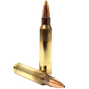 Lapua .223 Rem 69 gr Scenar-L Ammo (20)